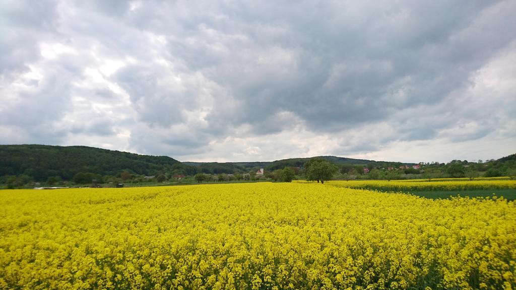 Ferienhaus Am Eisgraben Hausen  Exteriér fotografie